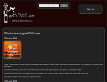 Tablet Screenshot of gohowie.com